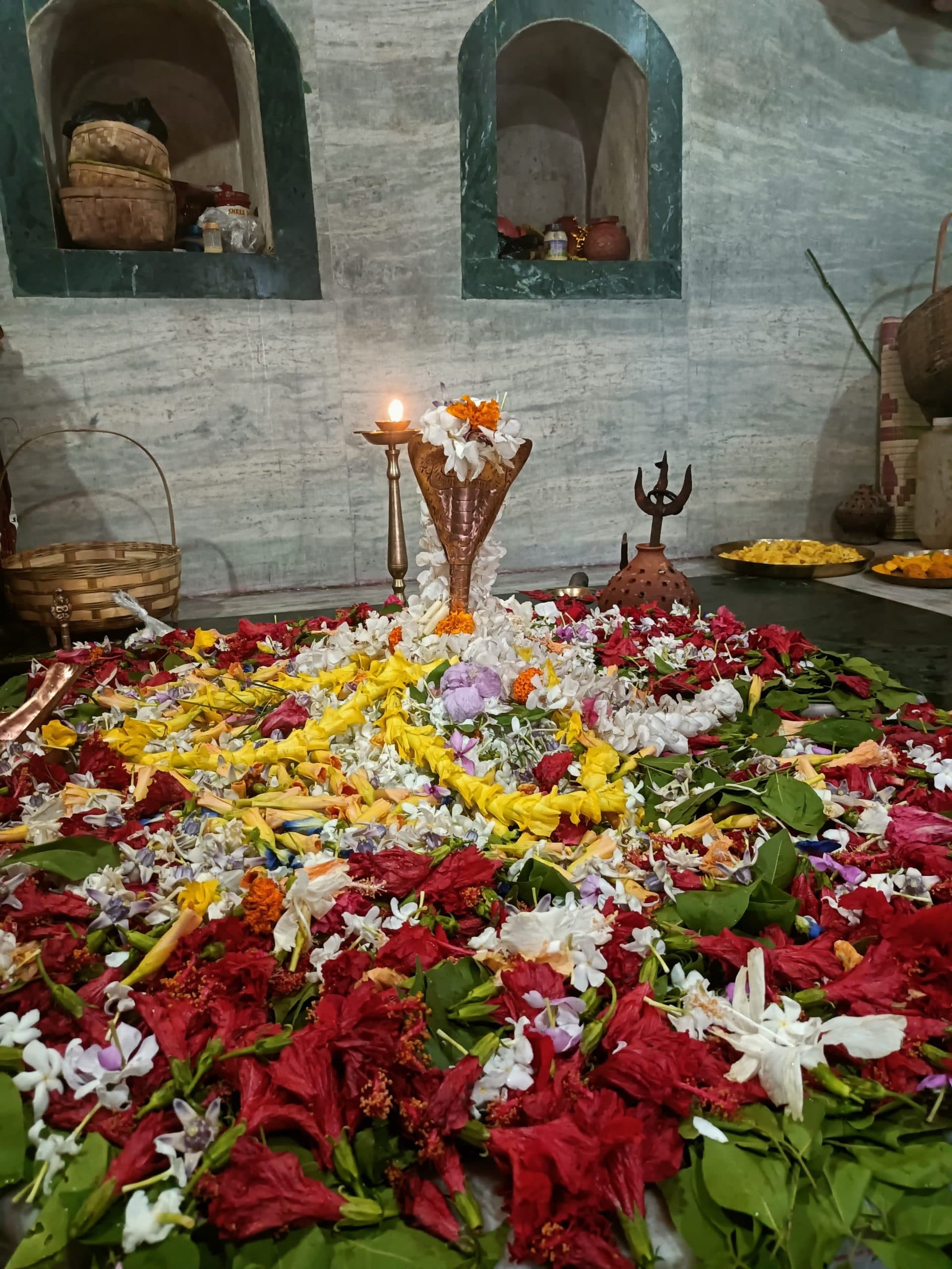 बेलदाहा नाग मंदिर में पनढार के साथ विशेष पूजन प्रारंभ