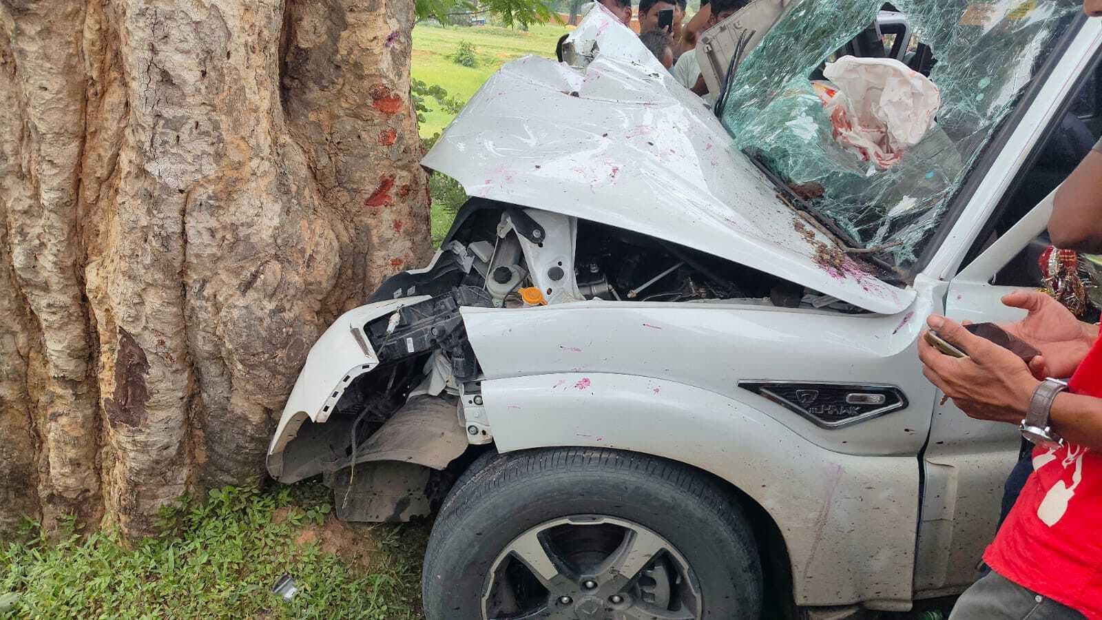 तेज रफ्तार स्कॉर्पियो पेड़ से टकरायी, 12 लोग गंभीर रूप से घायल