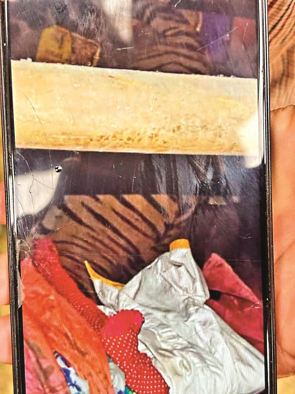 Ranchi News: सिल्ली में घर में घुसा बाघ, बच्चों को निकाल पिता ने लगाया दरवाजा, 14 घंटे बाद पकड़ा गया