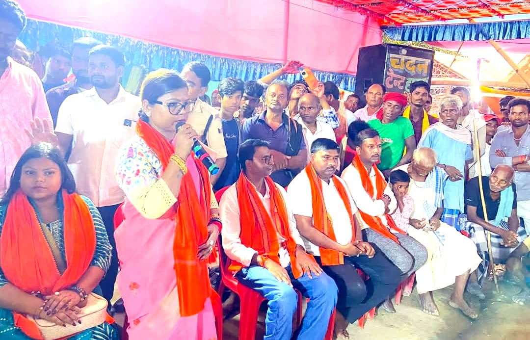 दीनानाथ भद्री के दर्शन से अभिभूत हूं : बीमा