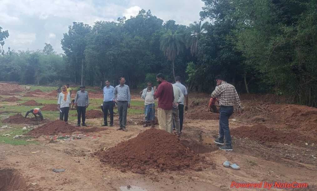 सारवां : 114 एकड़ में मिश्रित पौधे की होगी बागवानी : बीडीओ