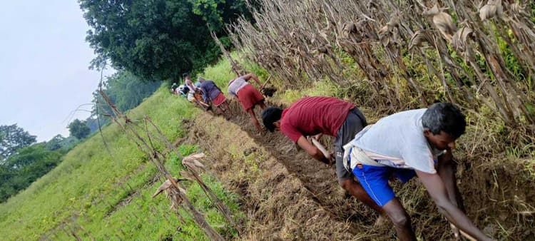 श्रमदान से किसानों ने की पइन की सफाई