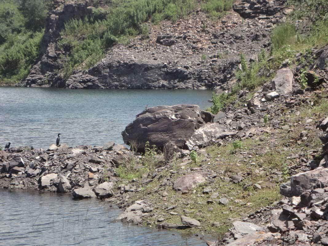 Bokaro News : बंद पिछरी माइंस को खोलने को लेकर बना टेरी रजिस्टर