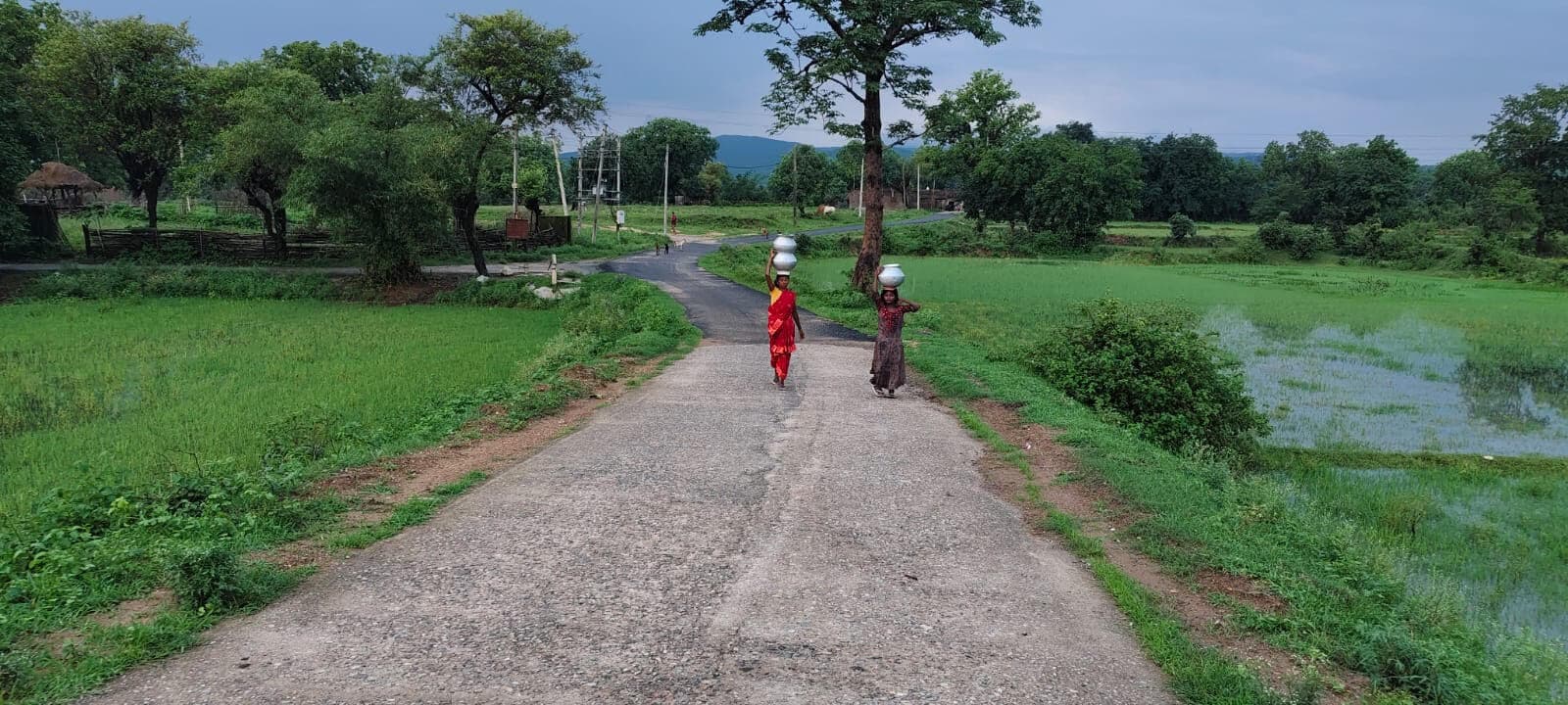 Bokaro News : तार व पोल गिरने से गांव में आठ दिनों से जलापूर्ति ठप