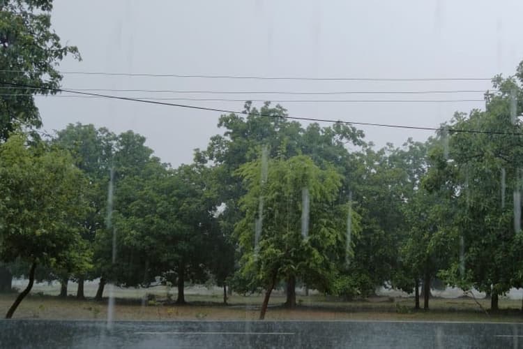 Jharkhand Weather: झारखंड में 10 जून से झमाझम बारिश, IMD का अलर्ट, कब होगी मानसून की एंट्री?