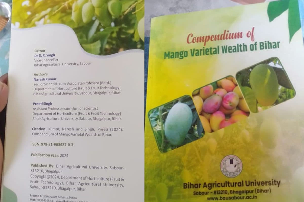 Prabhat Exclusive: 28 साल तक 139 आमों पर चलता रहा रिसर्च, फिर 6 आमों को विकसित करने में सफल हुए डॉ नरेश