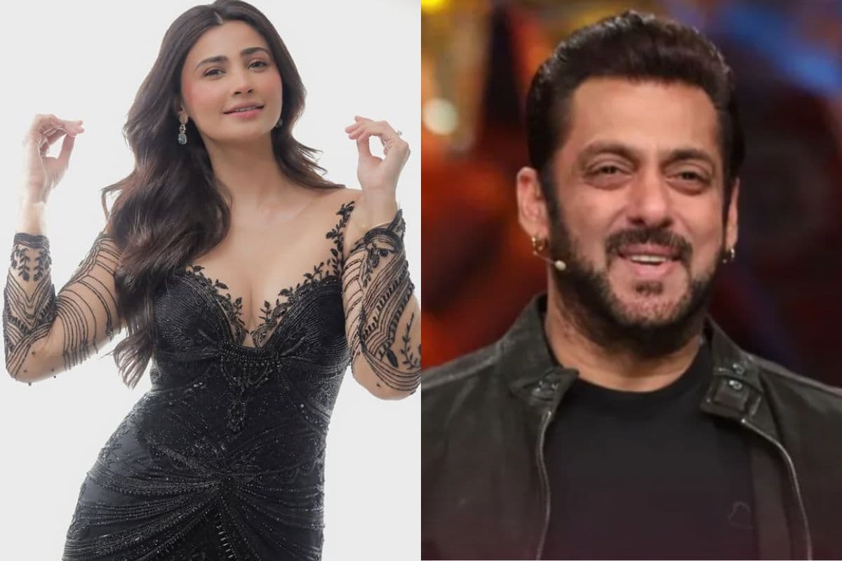 Bigg Boss 19 में शामिल होने की अफवाह पर डेजी शाह ने तोड़ी चुप्पी, बोलीं- कभी नहीं करूंगी…