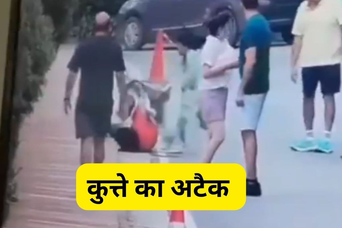 Dog Attack Video Gurugram Dog Attack Video Gurugram