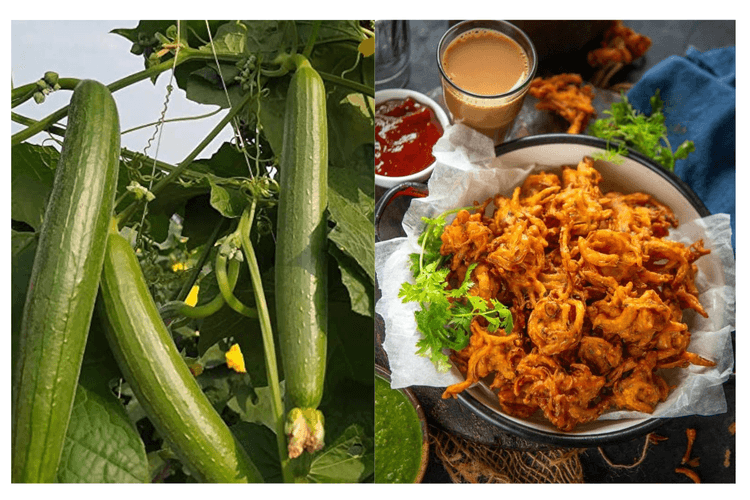 Turai Ke Pakode: बाहर से क्रंची और अंदर से सॉफ्ट झटपट बनाएं गिल्की के पकौड़े