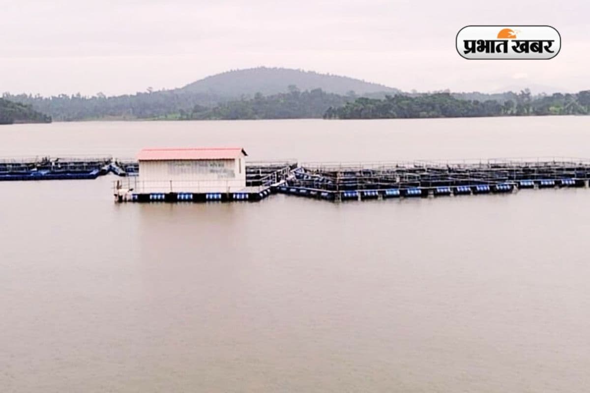 Good news for Palamu Malay Dam water released into canal