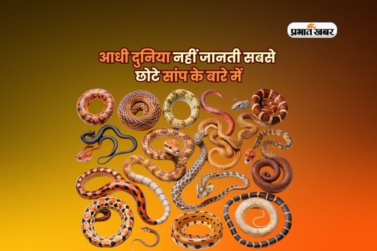 आधी दुनिया नहीं जानती सबसे छोटे सांप के बारे में, जानोगे तो देखने का मन करेगा