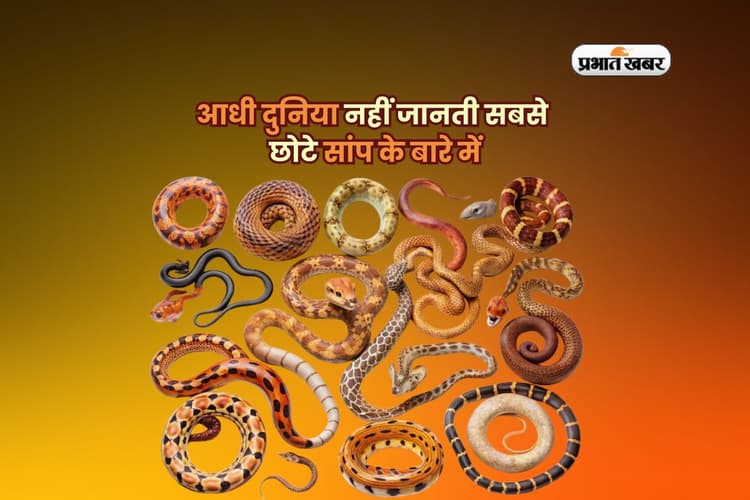 आधी दुनिया नहीं जानती सबसे छोटे सांप के बारे में, जानोगे तो देखने का मन करेगा