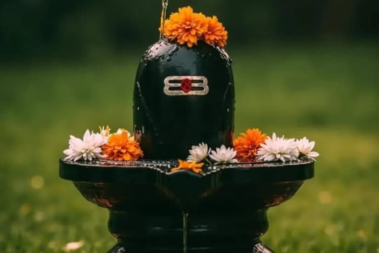 Top Hindi Devotional Songs for Sawan: सावन में इन गानों से भोलेनाथ की भक्ति में डूबने के लिए हो जाइए तैयार, पहली वाली सुन हो जायेंगे मंत्रमुग्ध