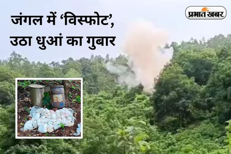 सरायकेला-खरसावां के जंगल में विस्फोट, दूर तक सुनी गयी आवाज, धुआं-धुआं हुआ जंगल