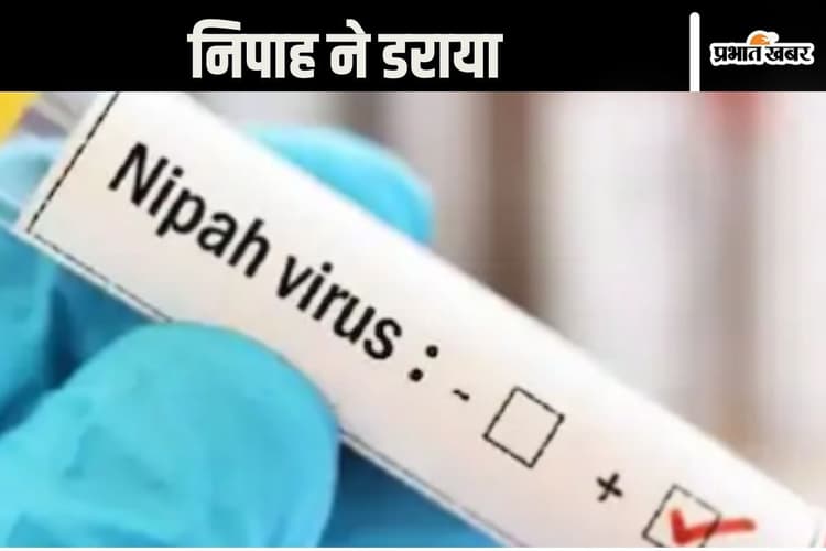 Nipah : निपाह का आतंक, दो दिन में दूसरी मौत, मचा हड़कंप, सरकार के उड़े होश