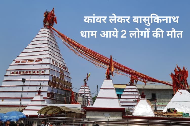 Shravani Mela 2025: बासुकिनाथ में पूजा करने आये 2 कांवरियों की मौत, 75925 श्रद्धालुओं ने किया जलार्पण
