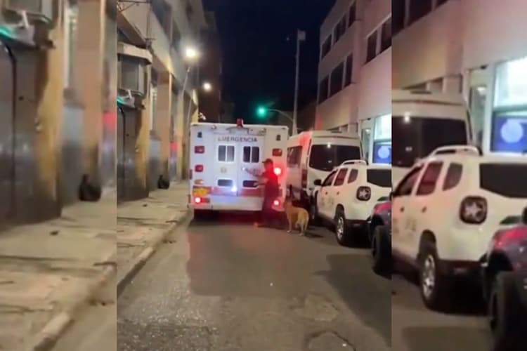 Viral Video: जब मालिक हुआ बीमार, एंबुलेंस के पीछे दौड़ने लगा कुत्ता, दिल को छू लेने वाला वीडियो