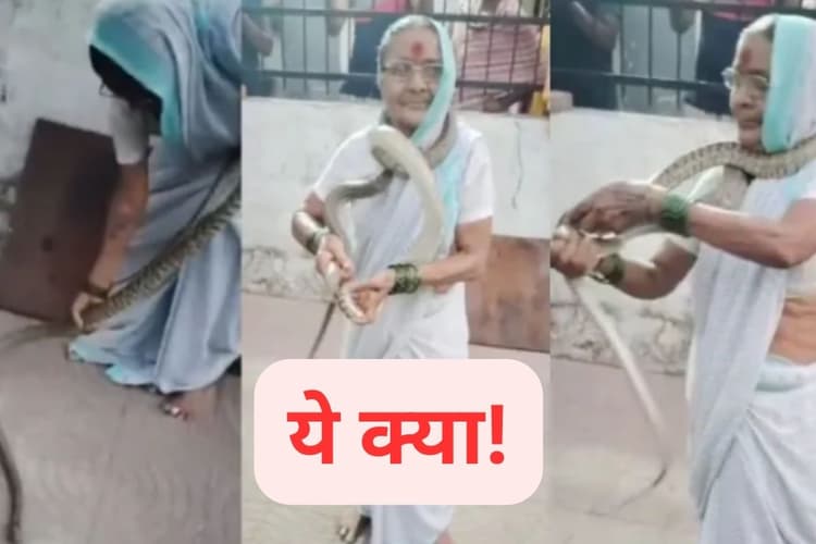 Viral Video : 70 साल की महिला ने झट से पकड़ा सांप, गले में लपेटा