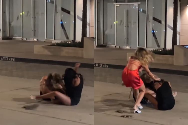 Viral Video: मुक्का पर मुक्का, थप्पड़ पर थप्पड़! देखें लड़ाई का जबरदस्त वीडियो