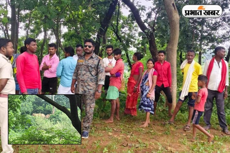 रामगढ़ में गोमती नदी किनारे पहुंचा जंगली हाथियों का झुंड, ग्रामीणों में दहशत