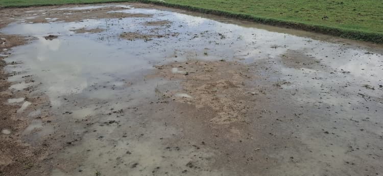 Giridih News :लगातार बारिश से किसान परेशान, धान का बीज बर्बाद होने की आशंका