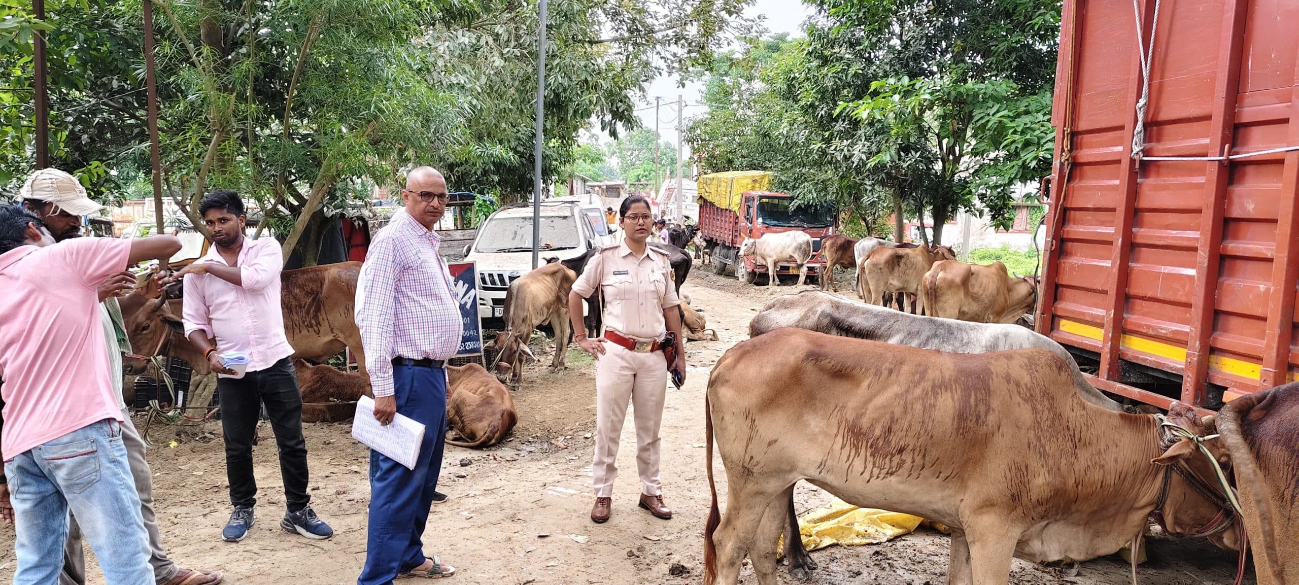 पांच मिनी ट्रकों से 139 मवेशी बरामद, वाहन जब्त, तीन तस्कर गिरफ्तार