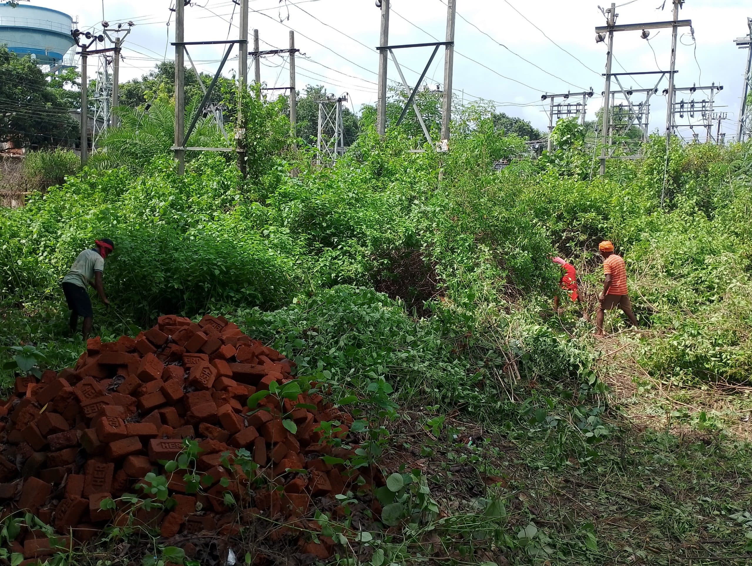 सारवां में कंटीली झाड़ियों की करायी गयी साफ-सफाई