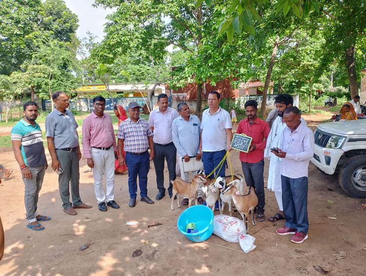 सारवां में लाभुकों के बीच बांटी बकरियां