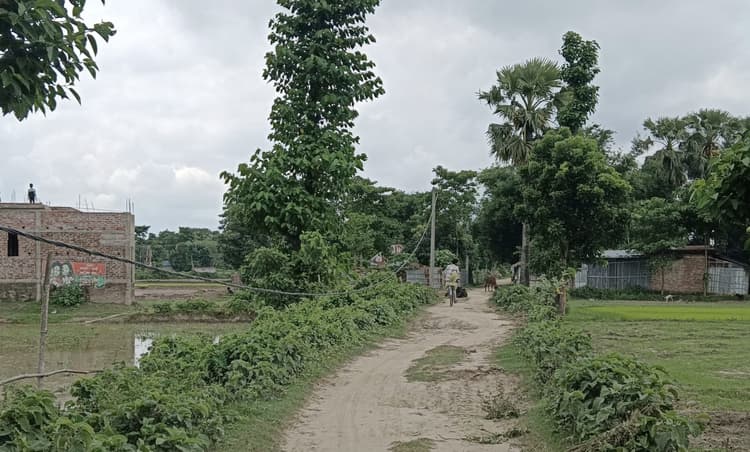 झूलते बिजली तार की मरम्मत की मांग ग्रामीणों ने की