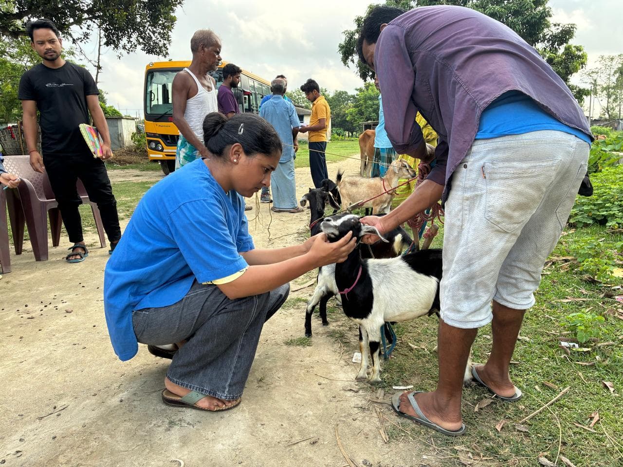 चिकित्सा शिविर में 152 पशुओं का हुआ इलाज