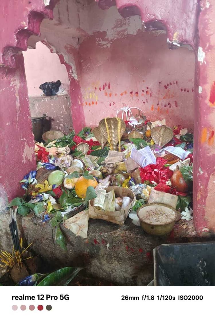 राधानगर में नाग पूजा पर उमड़ी श्रद्धालुओं की भीड़, लगा मेला