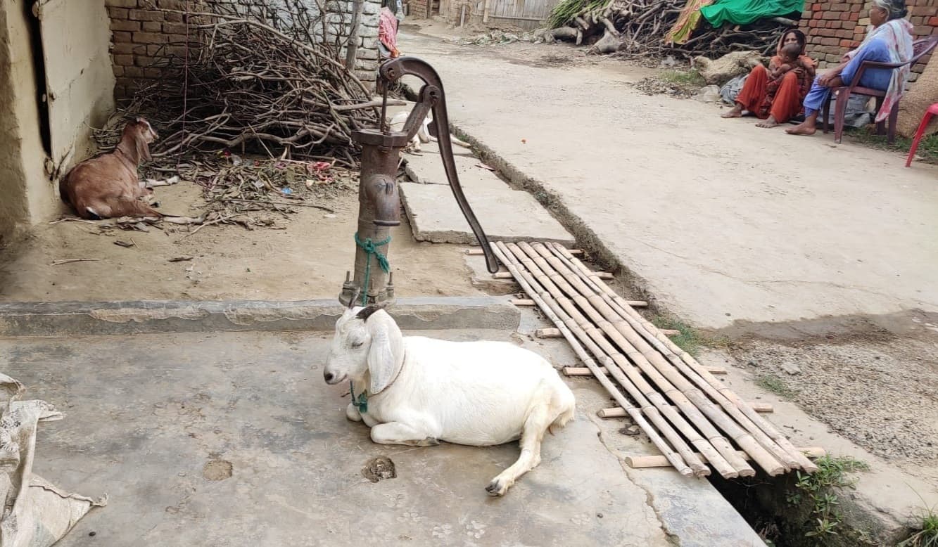 Motihari: बारिश नहीं होने से घोड़ासहन में जलसंकट गहराया, अधिकांश चापाकल सूखे व खेतों में दरार