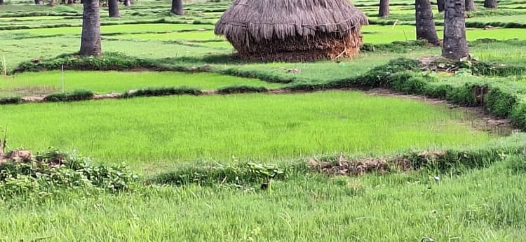 बारिश के इंतजार में बैठे हैं किसान