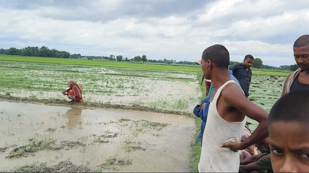 चंदवा में जमीनी विवाद ने पकड़ा तूल, धान रोपने के दौरान दो पक्षों में हुआ हंगामा