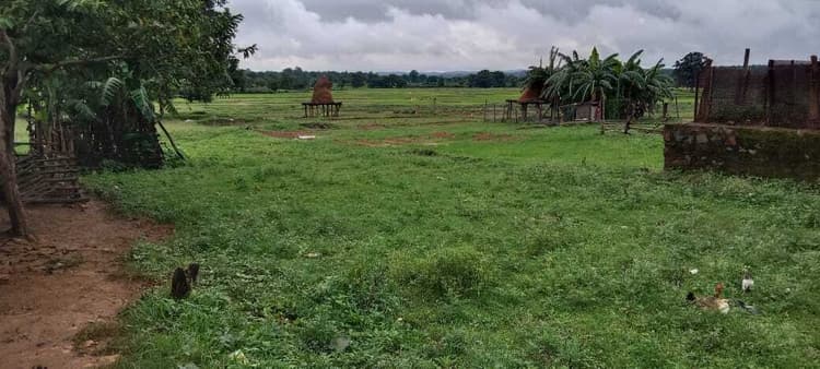 Chaibasa News : बारिश से खेतों में भरा पानी, किसान खरीफ फसल लगाने को चिंतित