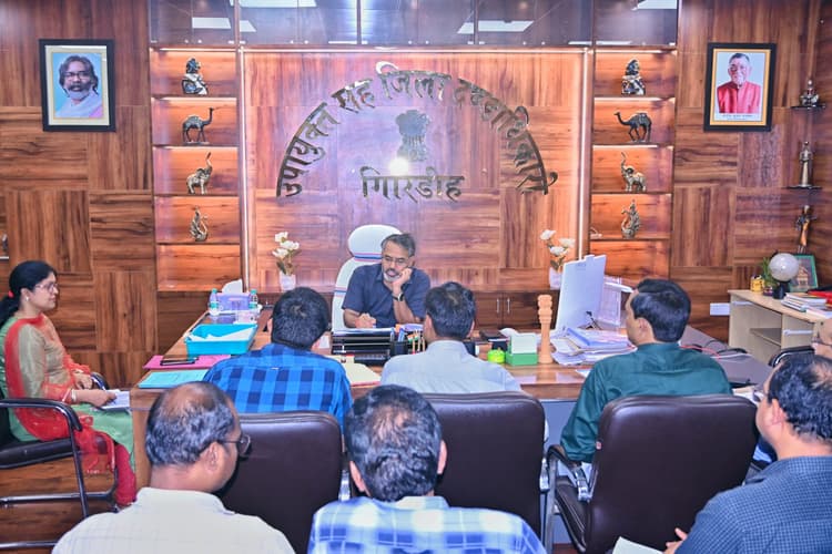 Giridih News :उपयोगी योजनाओं को स्वीकृत करें : डीसी