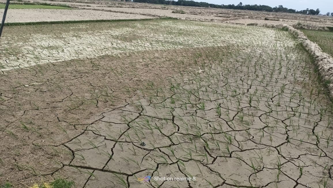 Sitamarhi : बारिश की चाह में आसमान की ओर लगी हैं टकटकी, जमीन में दरार देख फट रहा किसानों का कलेजा