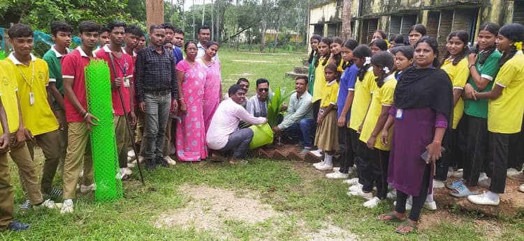 पंच परगना उवि ताऊ बुंडू में पौधरोपण