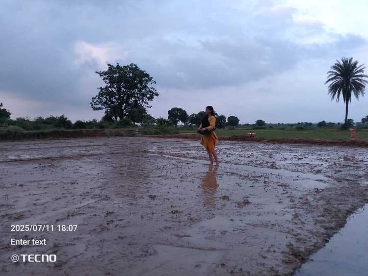Giridih News :सड़ा धान का बिचड़ा, अछरा लगाने में जुटे किसान