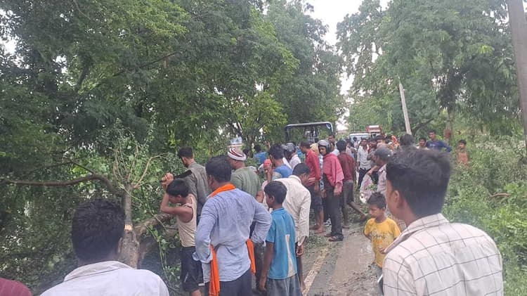 एनएच-81 से सेमापुर को जोड़ने वाली सड़क पर तेज हवा से गिरा पेड़, घंटों आवागमन रहा ठप