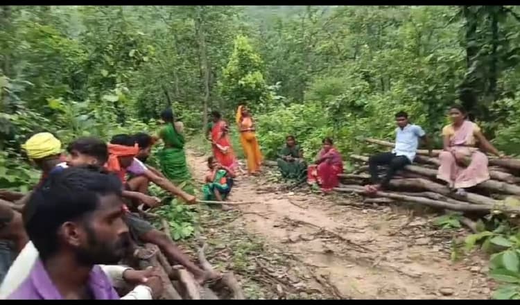 तरवां में ग्रामसभा ने की बड़ी मात्रा में अवैध लकड़ियां जब्त