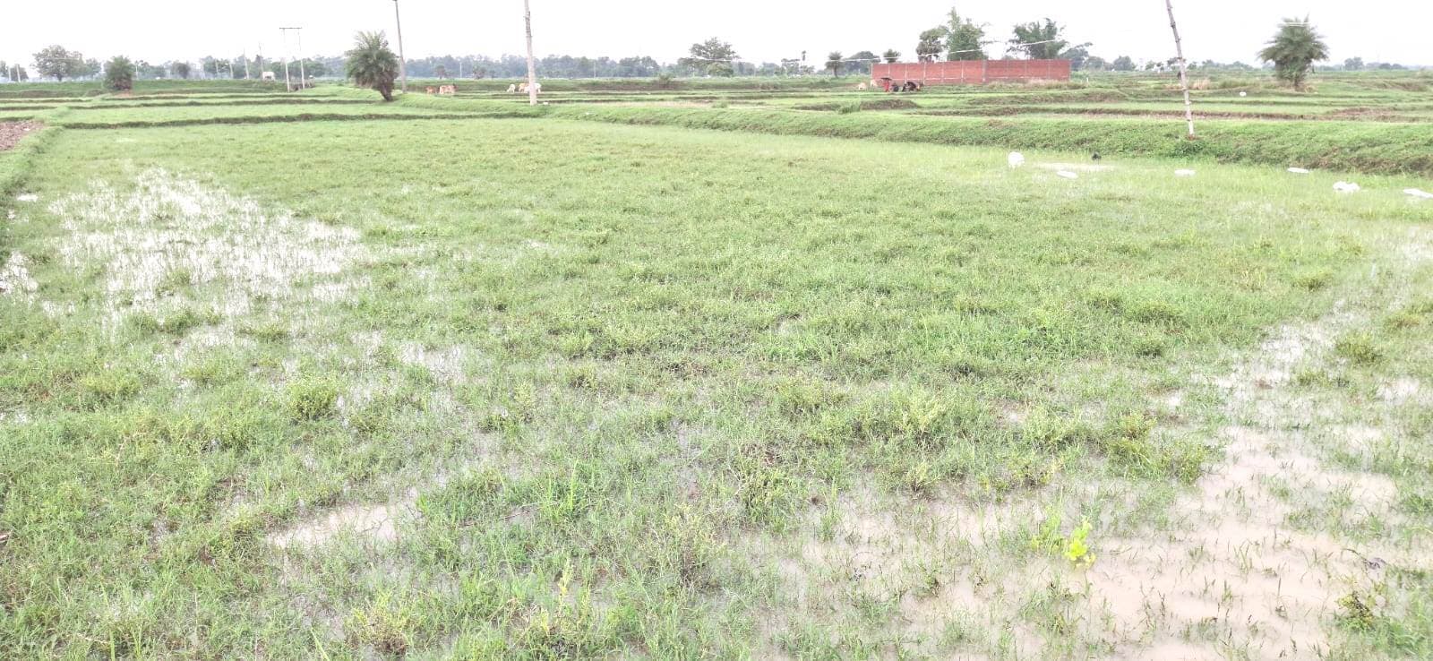 Aurangabad News : गांव में किसानों को अब नहीं मिल रहे बटाईदार, बढ़ी परेशानी