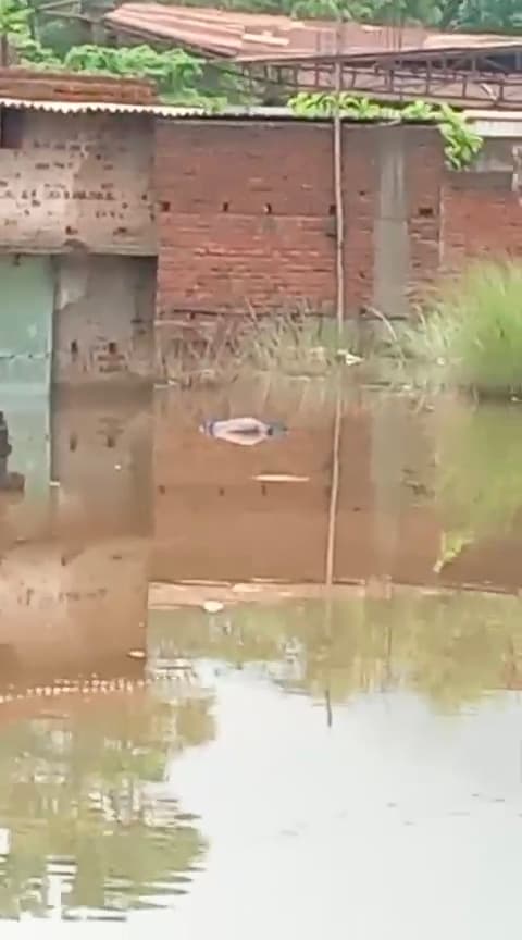 Seraikela Kharsawan News : फदलोगोड़ा : टाटा हाइवे होटल के पीछे से शव बरामद, पहचान नहीं