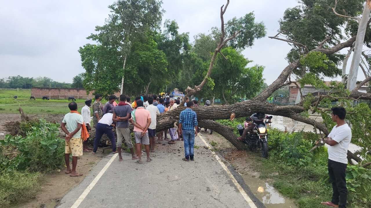 महखड़ ढाला के समीप सड़क पर गिरा पेड़, घंटों लगा जाम