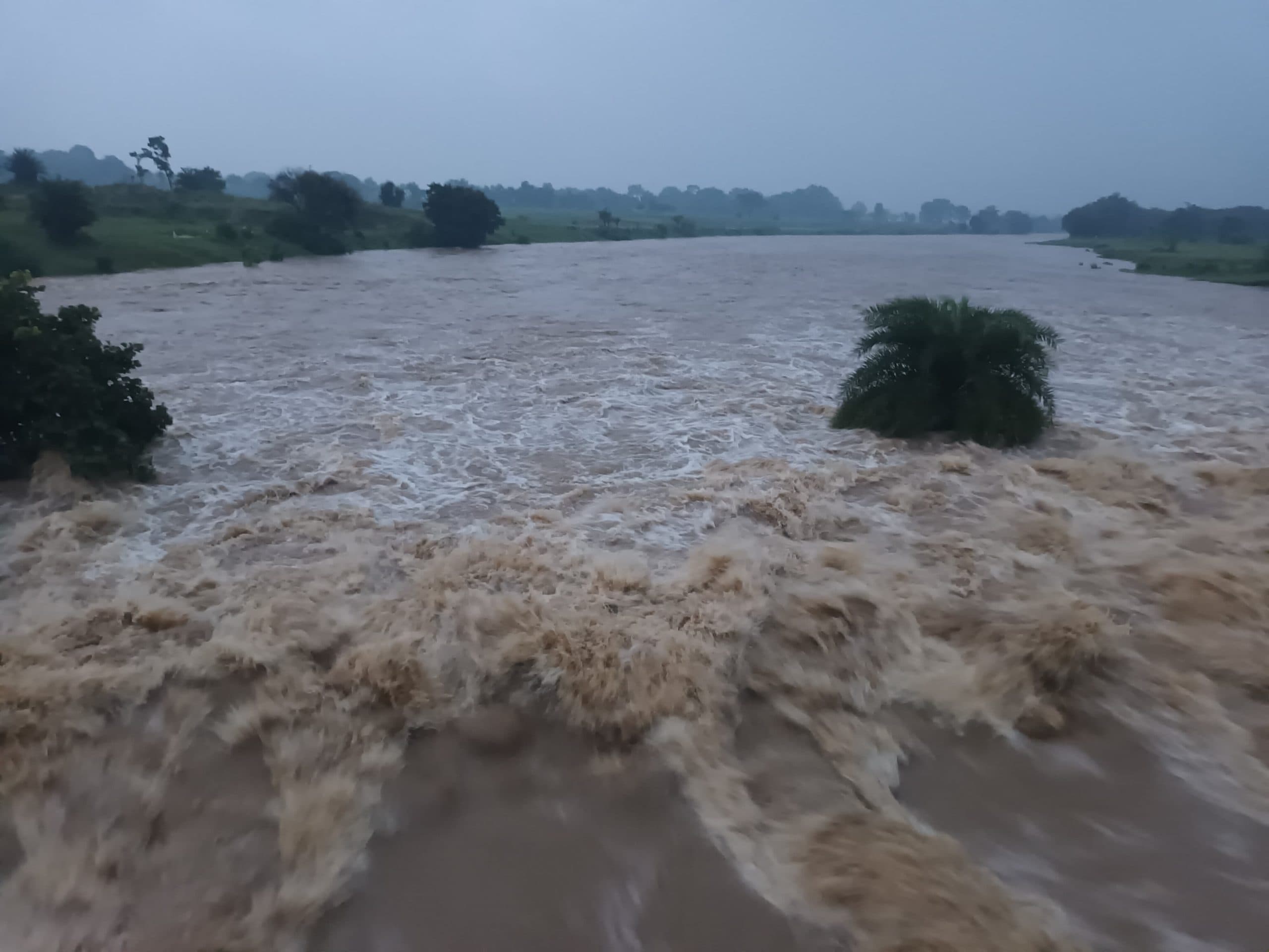 जिले भर में जुलाई में अब तक 350.9 एमएम हुई बारिश