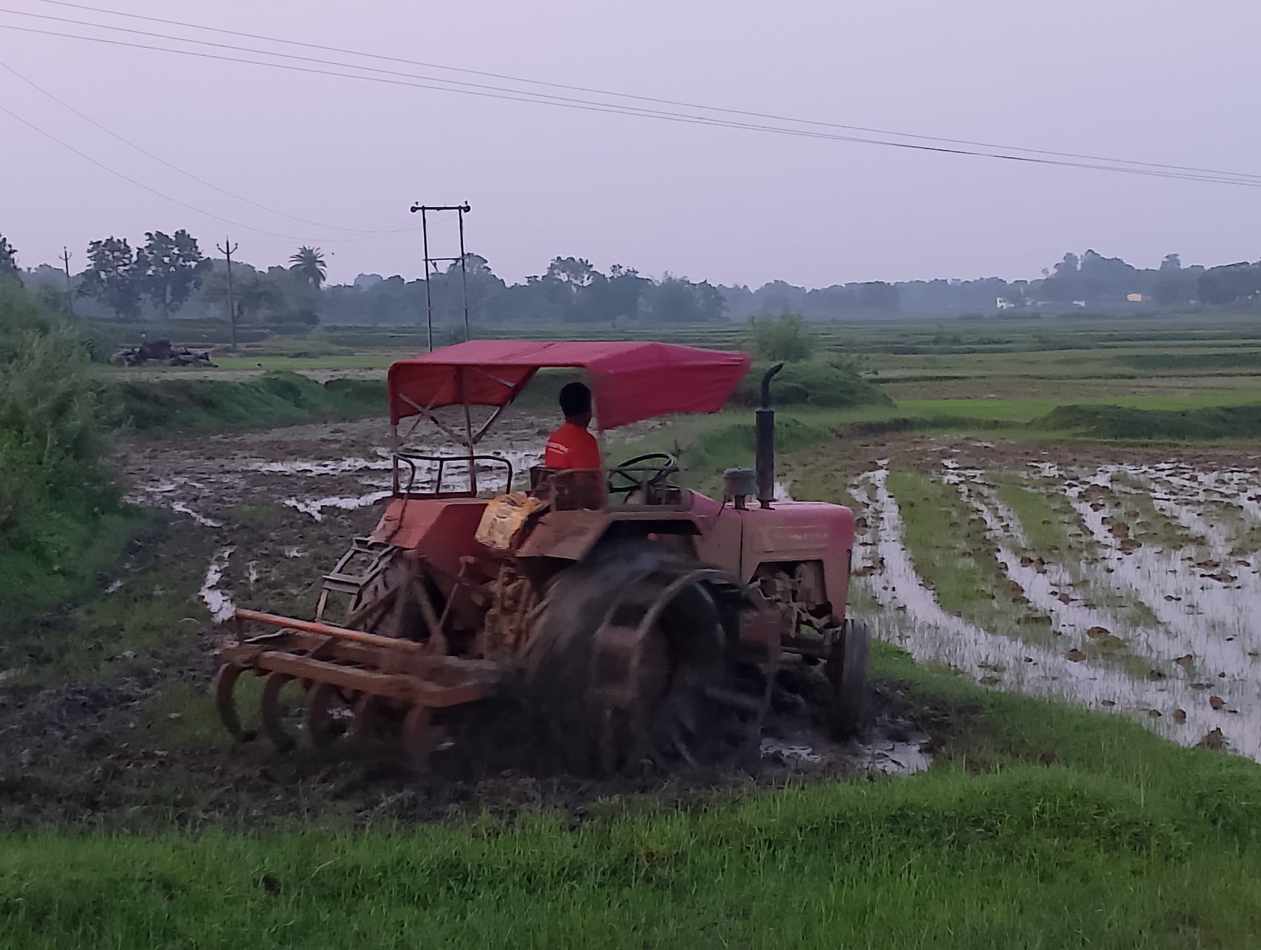 सारवां: बारिश से किसानों के चेहरे खिले, हल-ट्रैक्टर लेकर खेती में जुटे