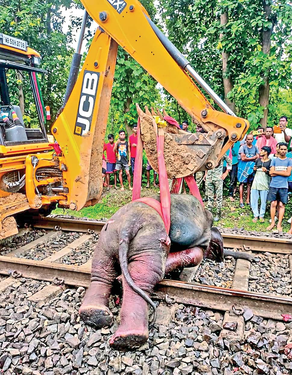 झाड़ग्राम : ट्रेन की चपेट में आकर तीन हाथियों की मौत