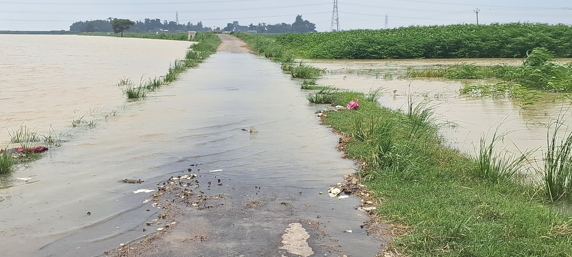 कोसी चेतावनी निशान पार, मौसमी नदियों में बाढ़ फैला पानी