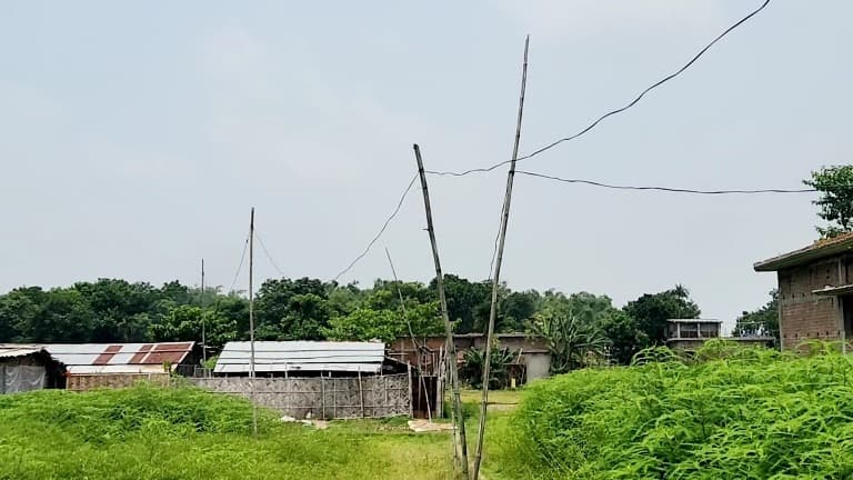 बांस बल्लों के सहारे जल रही है बिजली, खतरे का डर