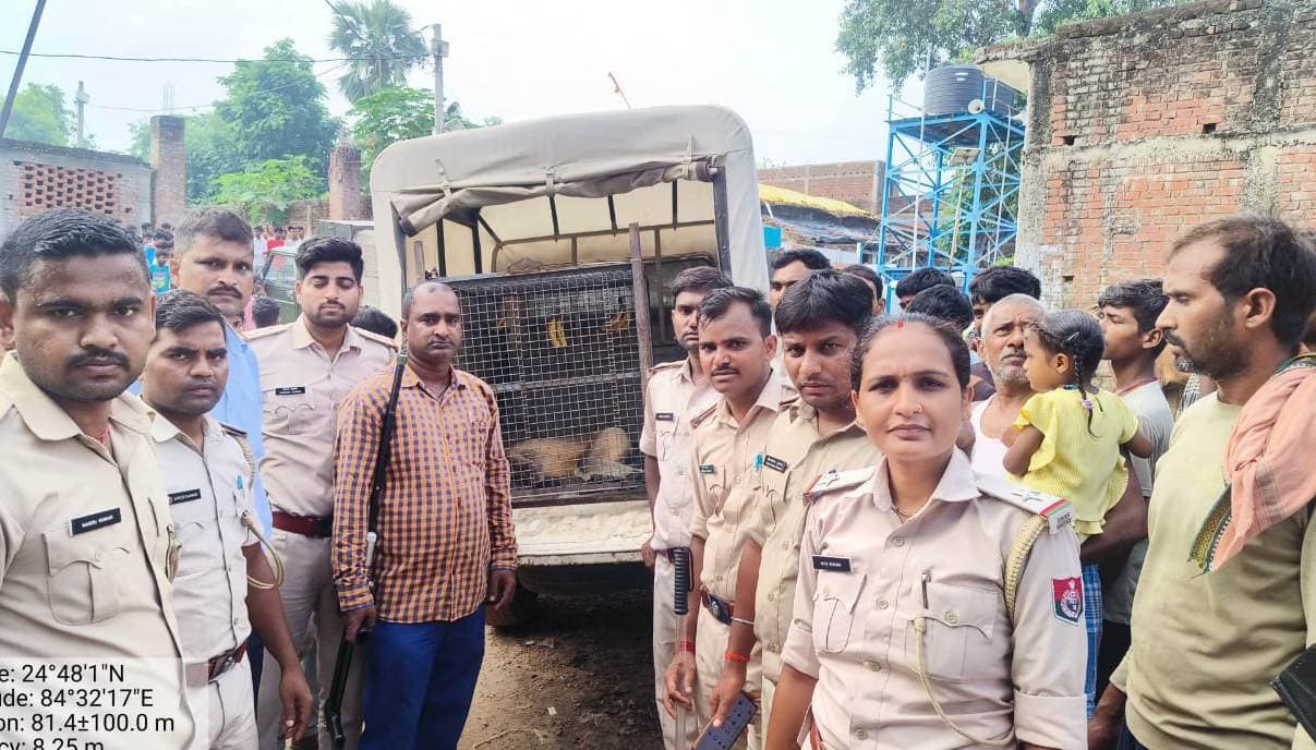 तीसरे दिन बंदर का रेस्क्यू, दो दिनों में 25 लोगों को काटा